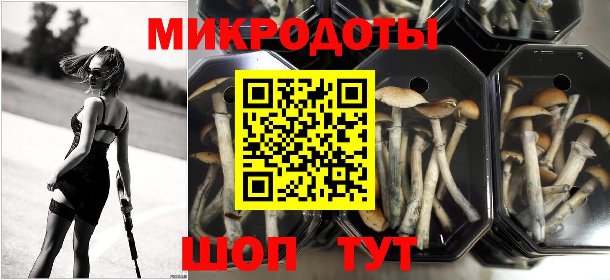 Ульяновск  Галлюциногенные грибы ЛСД  Вход с VPN  Псилоцибиновые грибы прущие грибы 